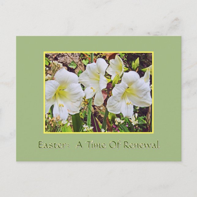 TARJETA DE PASCUA/LIRIOS DE DÍA BLANCOS (Anverso)