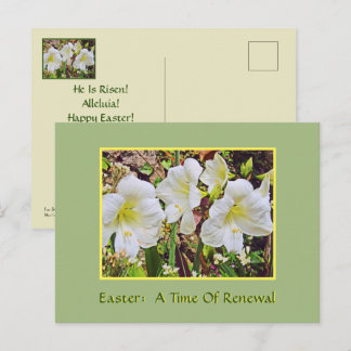 TARJETA DE PASCUA/LIRIOS DE DÍA BLANCOS