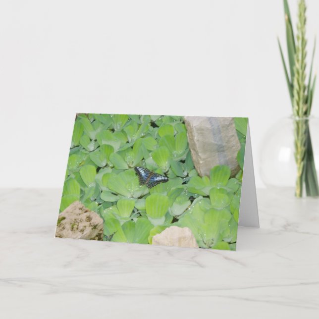 Tarjeta de Pascua "Mariposa Azul" (Anverso)