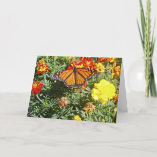 Tarjeta de Pascua "Mezclando"