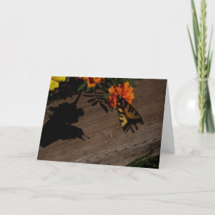 Tarjeta de Pascua "Morning Shadow"