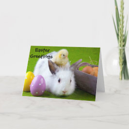 Tarjeta de pascua personalizada - polluelo fresco