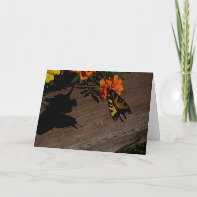 Tarjeta de Pascua "Sombra de la Mañana" (Anverso)