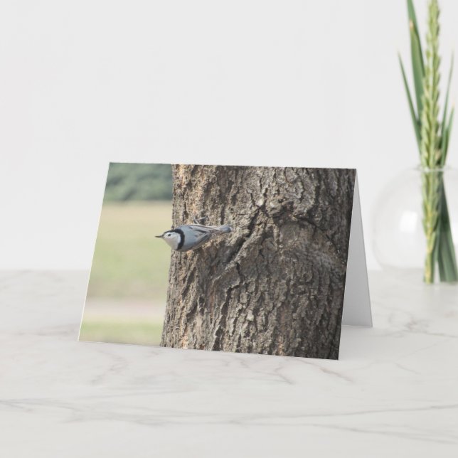 Tarjeta de Pascua "Trepatroncos Pechiblanco" (Anverso)