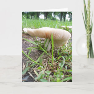 Tarjeta de Pascua "Village Mushroom #1"