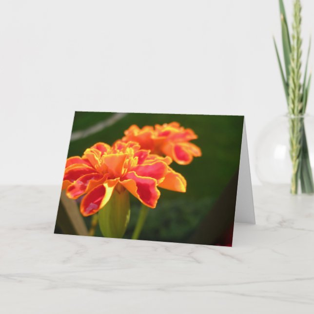 Tarjeta de pasión (Anverso)