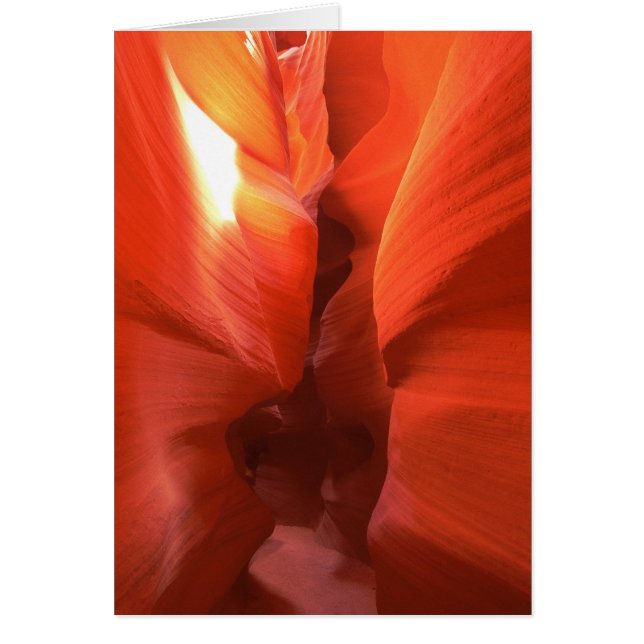 Tarjeta de paso del cañón de Corkbolt (Frente)