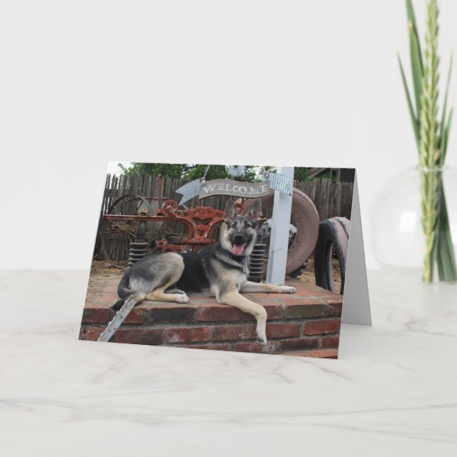 Tarjeta de Pastor Alemán Lucky Dog Retirement (Anverso)