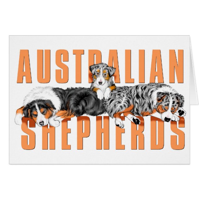Tarjeta de Pastores Australianos (Anverso (Horizontal))