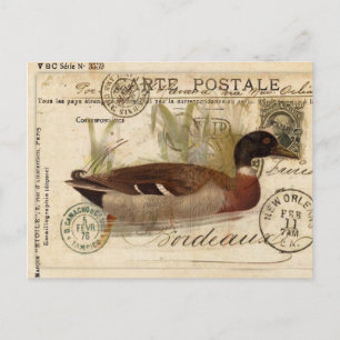 Tarjeta de pato vintage