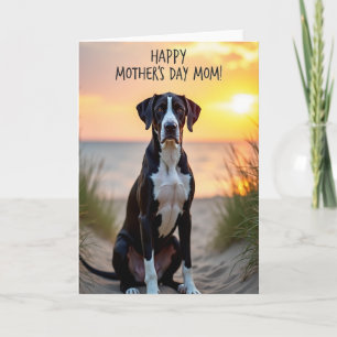 Tarjeta de patrón de canino costero