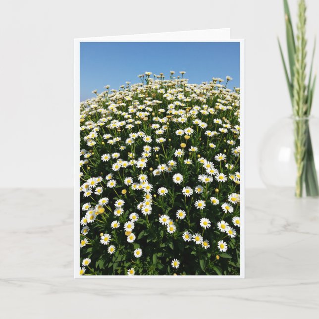 Tarjeta de patrón de explosión floral (Anverso)