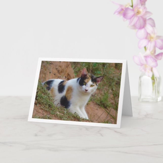 Tarjeta de patrón de gato con Calico (Orquídea)