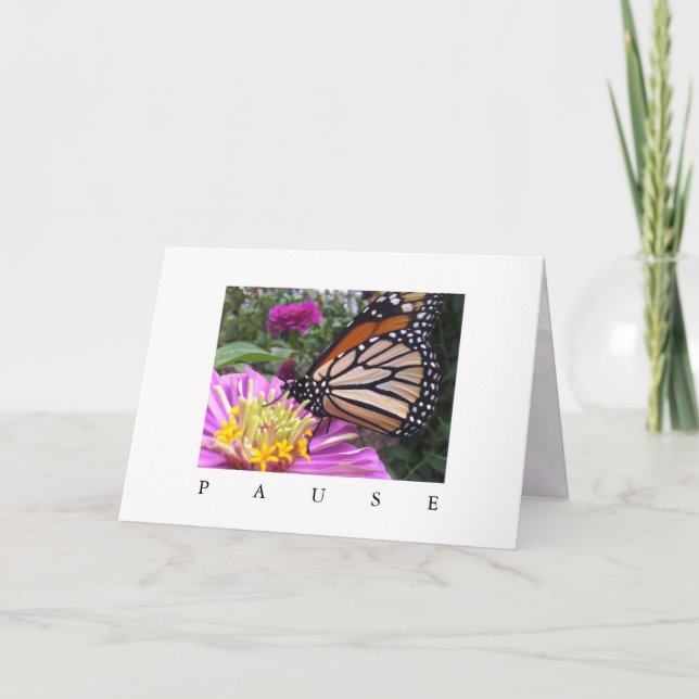 Tarjeta de pausa: Monarca sobre la zinnia rosa (Anverso)