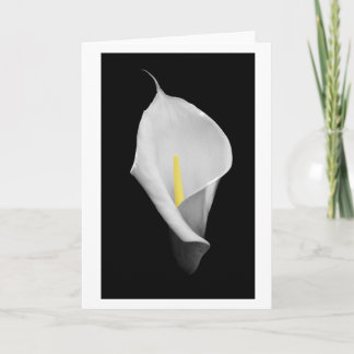 Tarjeta de Paz