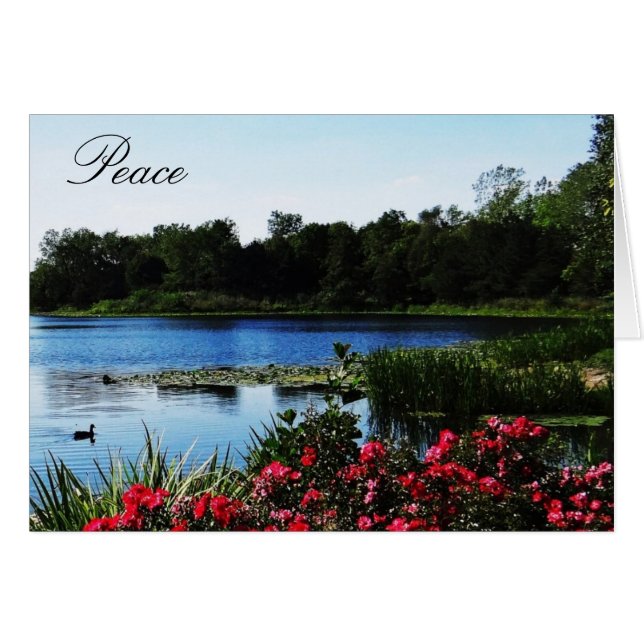 Tarjeta de paz John 14:27 (Anverso (Horizontal))
