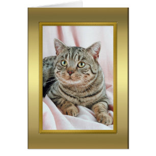 Tarjeta de pedigrí para gato