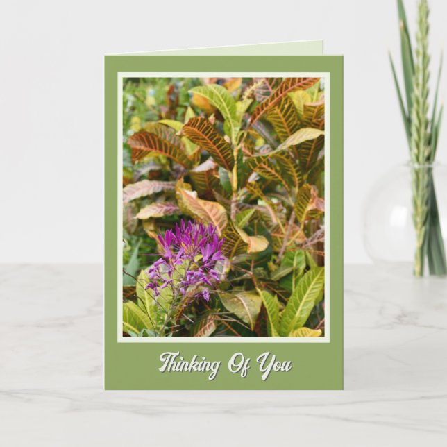 Tarjeta de Pensamientos de Recuperación Rápida y A (Anverso)