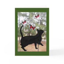 Tarjeta de pensar en ti con gato y mariposas