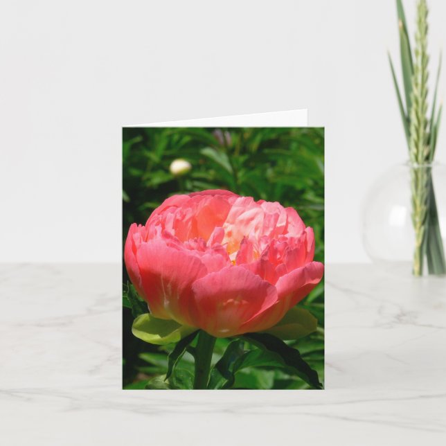 TARJETA DE "PEONY ROSADO RUBORIZACIÓN" NOTECARD (PHOTOG) (Anverso)