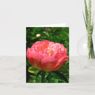 TARJETA DE "PEONY ROSADO RUBORIZACIÓN" NOTECARD (PHOTOG)