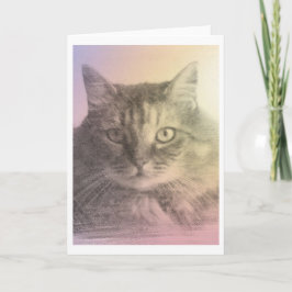 tarjeta de pérdida de mascota de gato