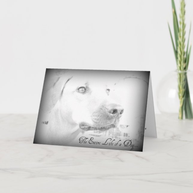 Tarjeta de pérdida de perro (Anverso)