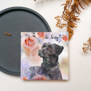 Tarjeta de pérdida de una mascota