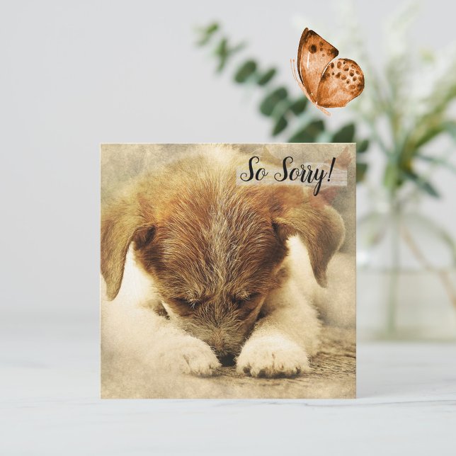 Tarjeta de pérdida de una mascota perro (Subido por el creador)