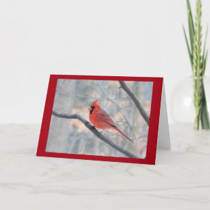 Tarjeta de perfil de cardenal rojo