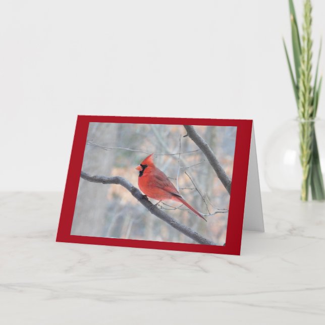Tarjeta de perfil de cardenal rojo (Anverso)
