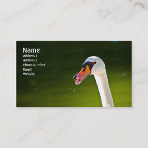 Tarjeta de perfil de cisne silenciada