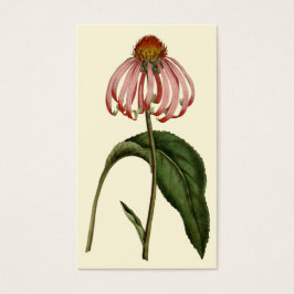 Tarjeta de perfil de flor negrita