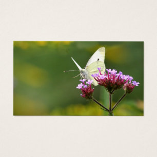 Tarjeta de perfil de mariposa