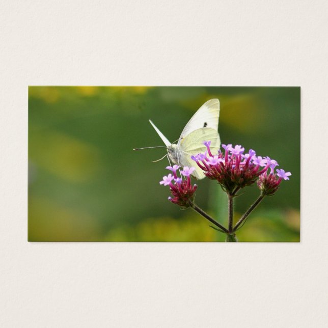 Tarjeta de perfil de mariposa (Frente)