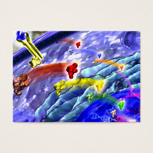 Tarjeta de perfil de tierra de señalización (Frente)