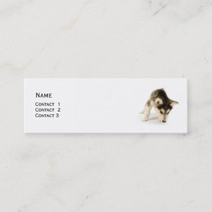 Tarjeta de perfil Husky Puppy