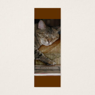 Tarjeta de perfil Kitty Sleep