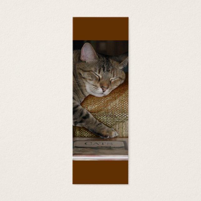 Tarjeta de perfil Kitty Sleep (Frente)