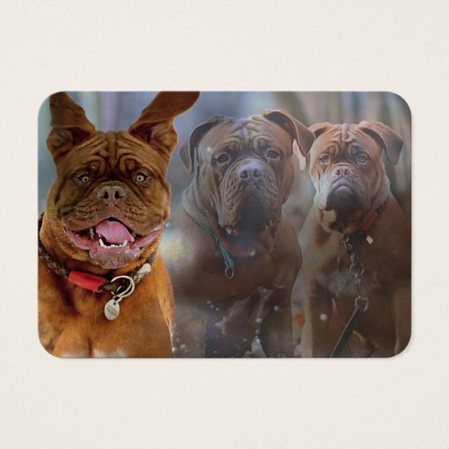 Tarjeta de perfil Mastiff Plus (Frente)