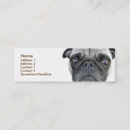 Tarjeta de perfil Pug
