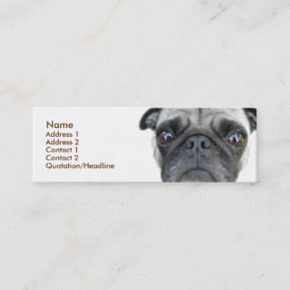 Tarjeta de perfil Pug