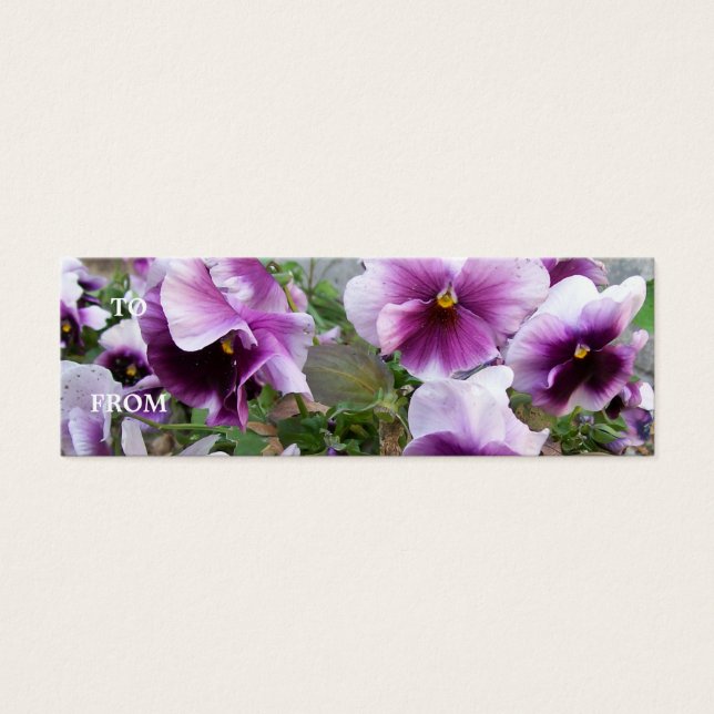 Tarjeta de perfil Púrpura Pansy (Frente)