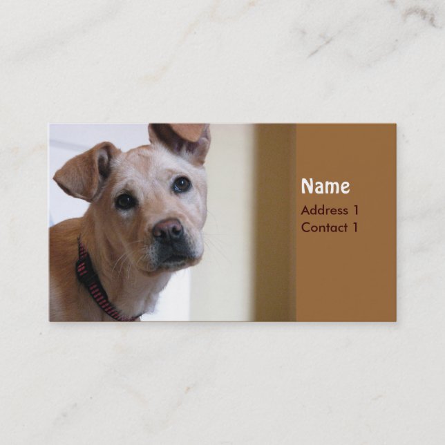 Tarjeta de perro (Anverso)