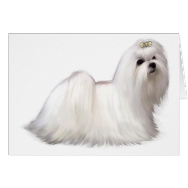 Tarjeta de perro (Anverso (Horizontal))