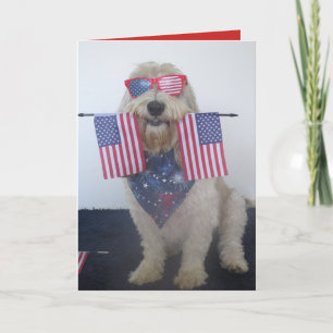 Tarjeta de perro 4 de julio