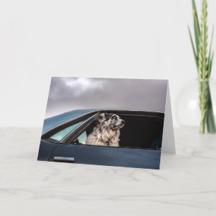 Tarjeta de perro australiana