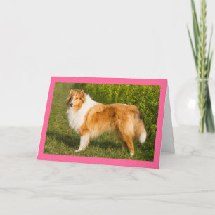 Tarjeta de Perro Cachorro Collie Pensando en Ti