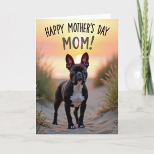 Tarjeta de perro compañero de puesta de sol