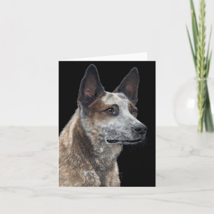 Tarjeta de perro de ganado australiano - "Jack"